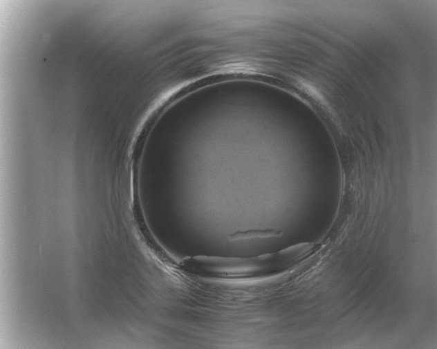 X0000063461323200601231408