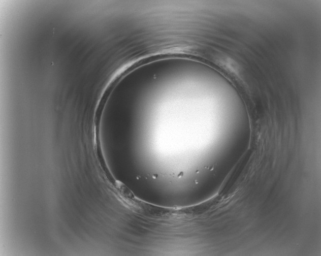 X0000063461324200601231408