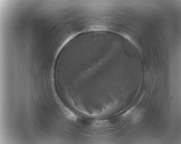 X0000063461325200601231408