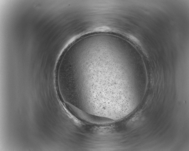 X0000063461326200601231408