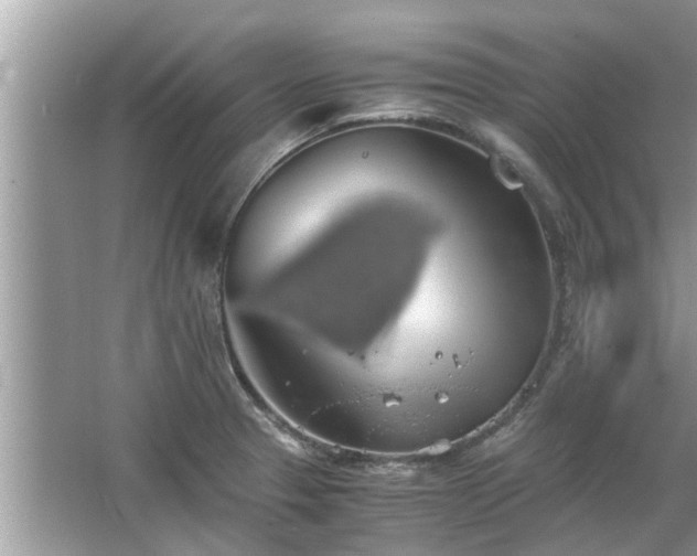 X0000063461329200601231408