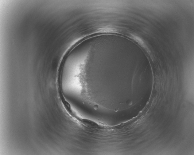 X0000063461331200601231408