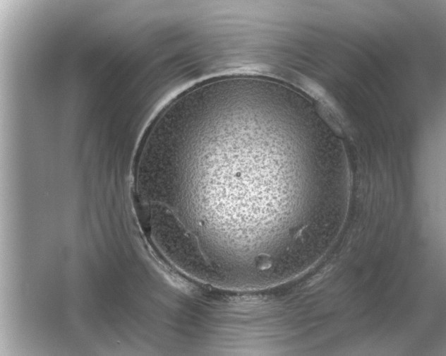 X0000063461332200601231408