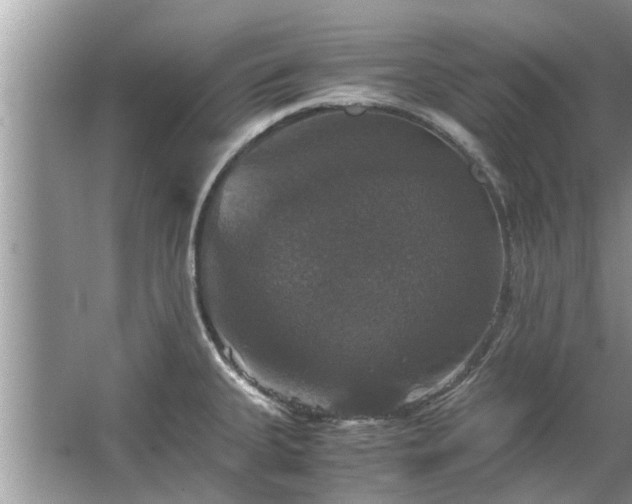 X0000063461335200601231408