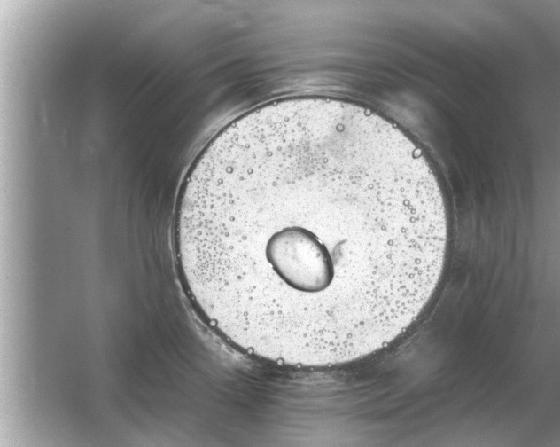 X0000063461338200601231408