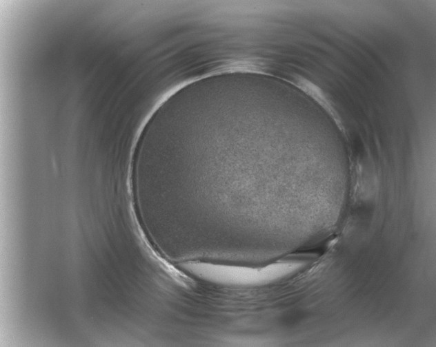 X0000063461339200601231408