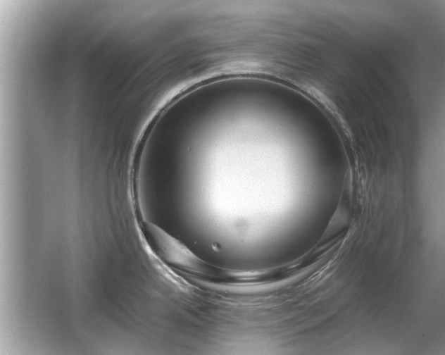 X0000063461342200601231408