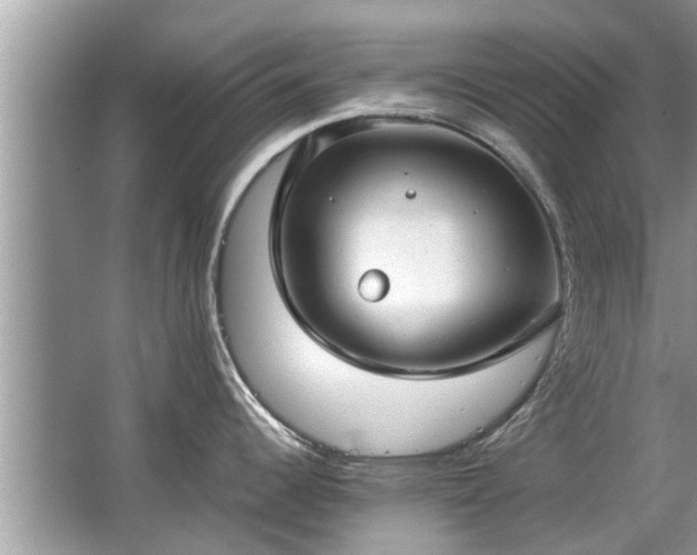 X0000063461344200601231408