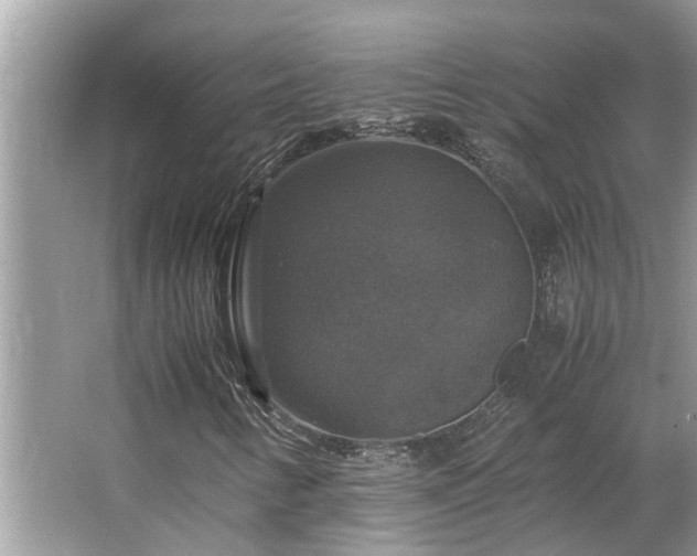 X0000063461346200601231407