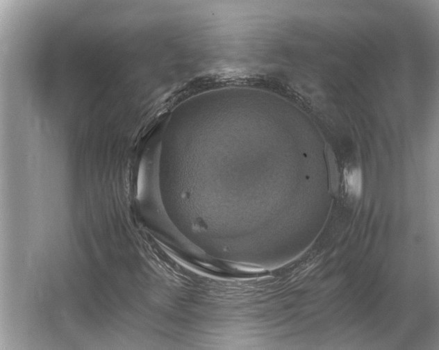 X0000063461348200601231407