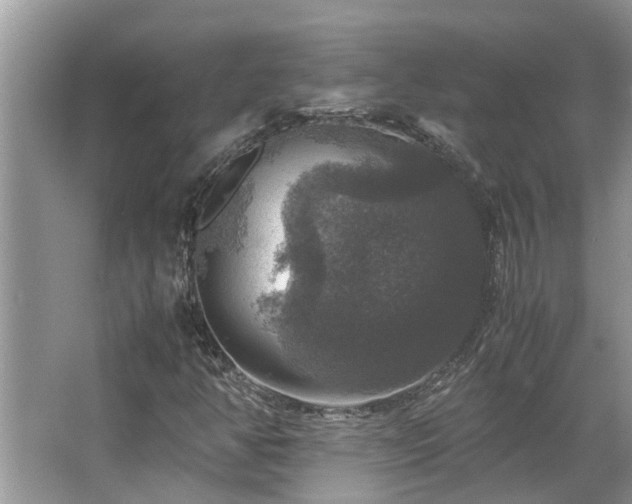 X0000063461350200601231407