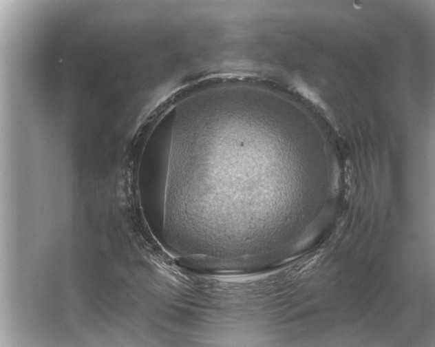 X0000063461352200601231407