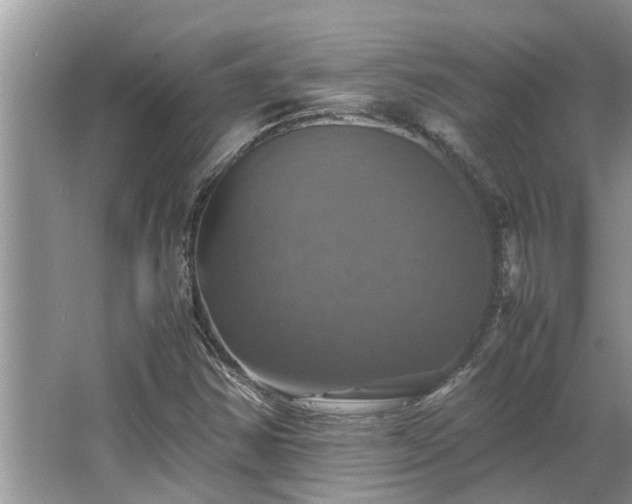 X0000063461354200601231407