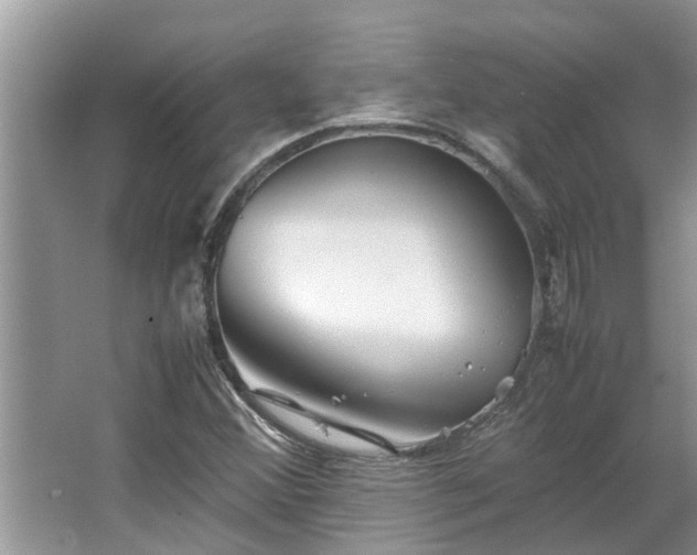 X0000063461356200601231407