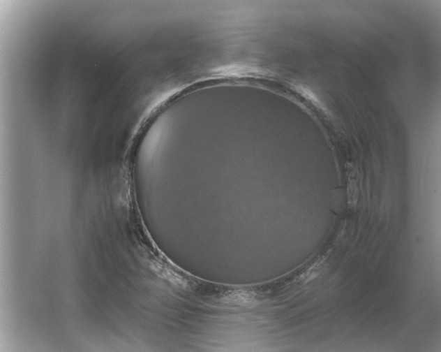 X0000063461358200601231407