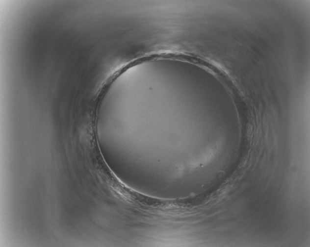 X0000063461359200601231407