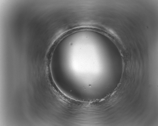 X0000063461360200601231407