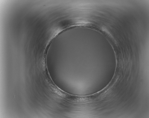 X0000063461362200601231407