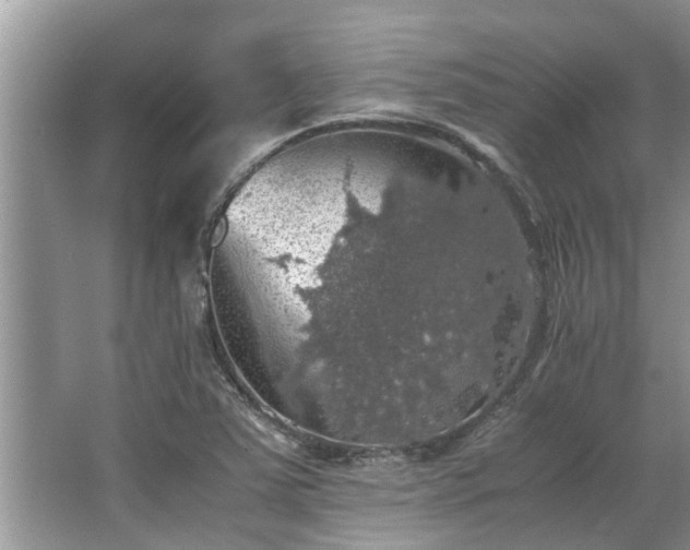 X0000063461363200601231407