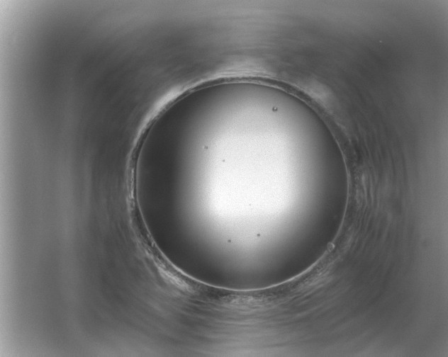 X0000063461366200601231407