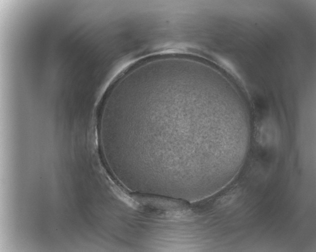 X0000063461368200601231407