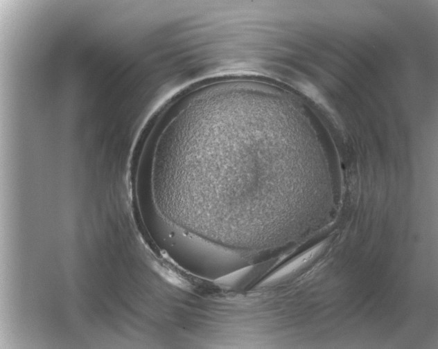 X0000063461372200601231407