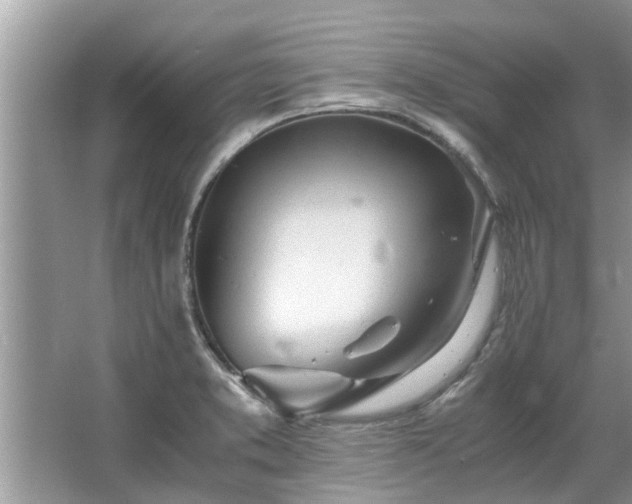 X0000063461373200601231407