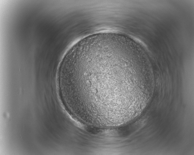 X0000063461375200601231407