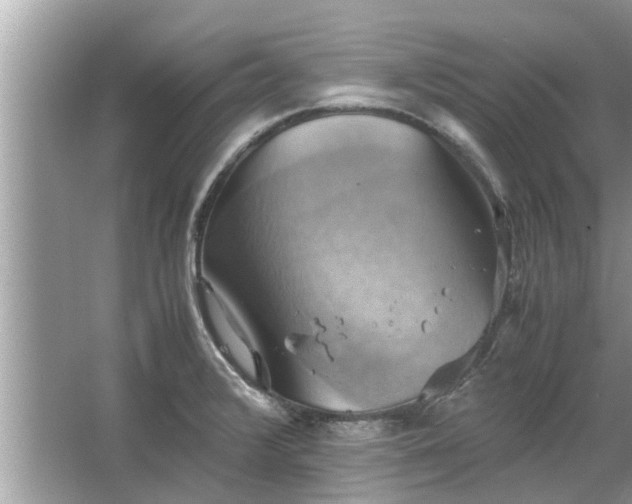 X0000063461376200601231407