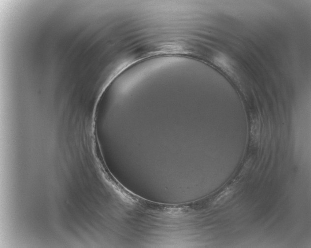 X0000063461378200601231407