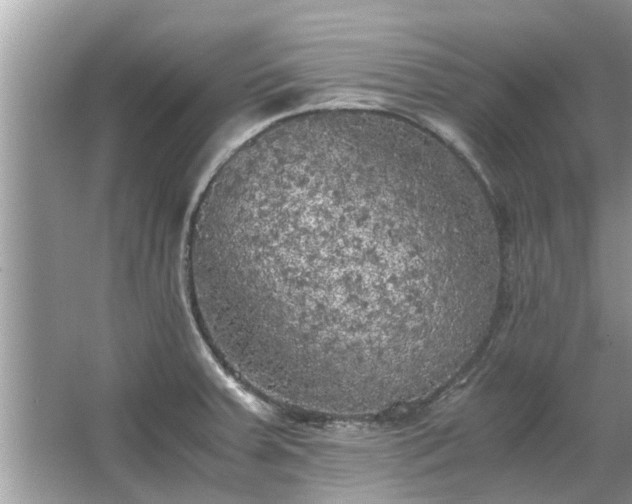 X0000063461379200601231407