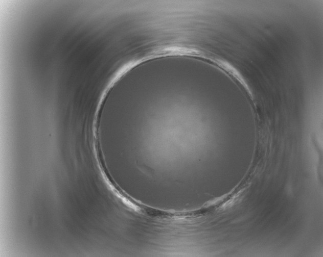 X0000063461381200601231407