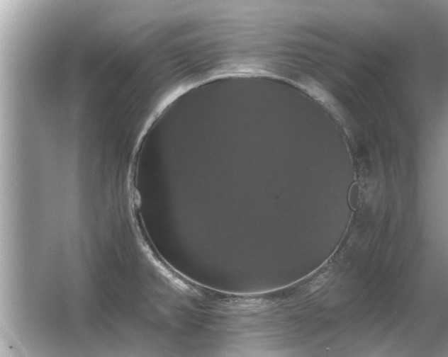 X0000063461382200601231407