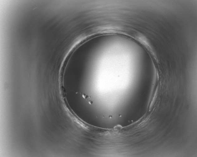 X0000063461384200601231407