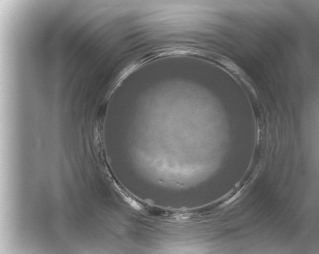 X0000063461385200601231407