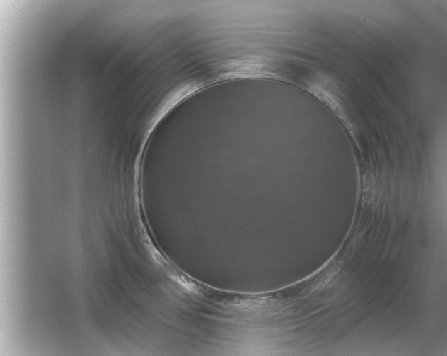 X0000063461386200601231407