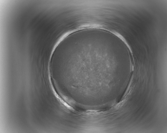 X0000063461389200601231407