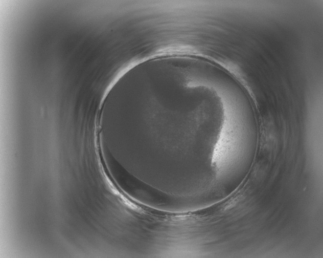 X0000063461390200601231407