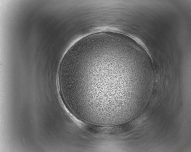 X0000063461391200601231407