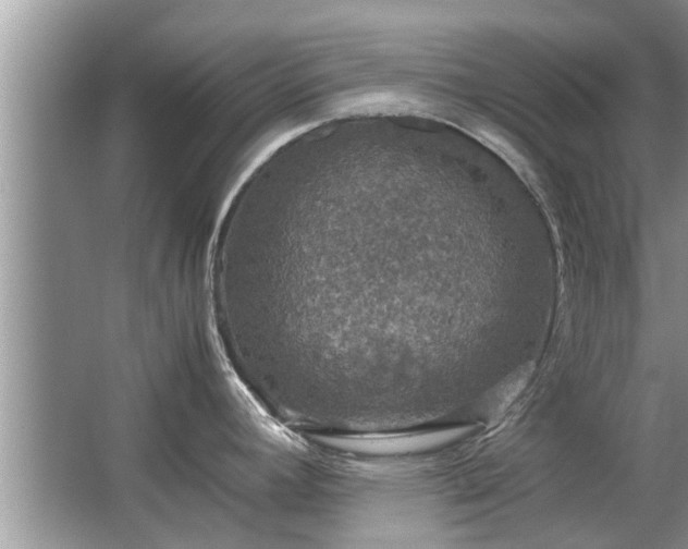 X0000063461392200601231407