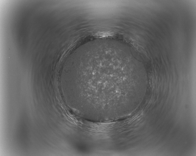 X0000063461393200601231406