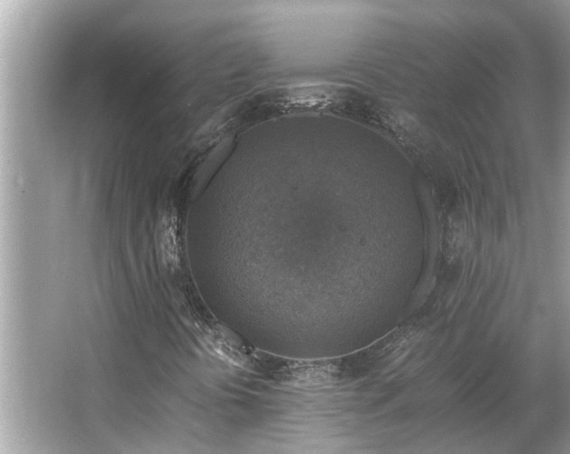 X0000063461394200601231406