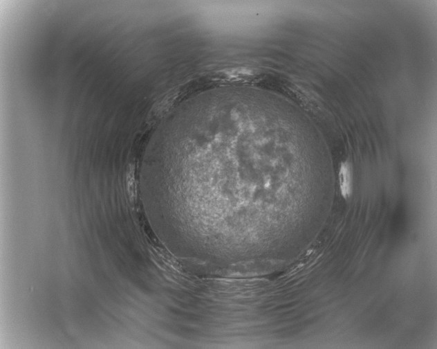 X0000063461395200601231406