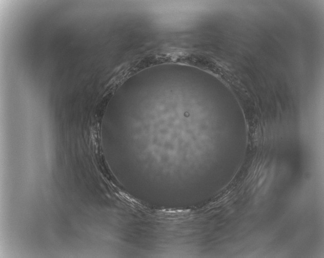 X0000063461397200601231406