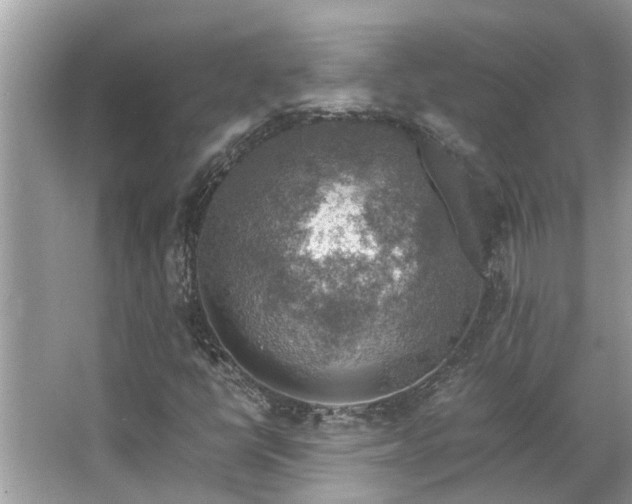 X0000063461398200601231406