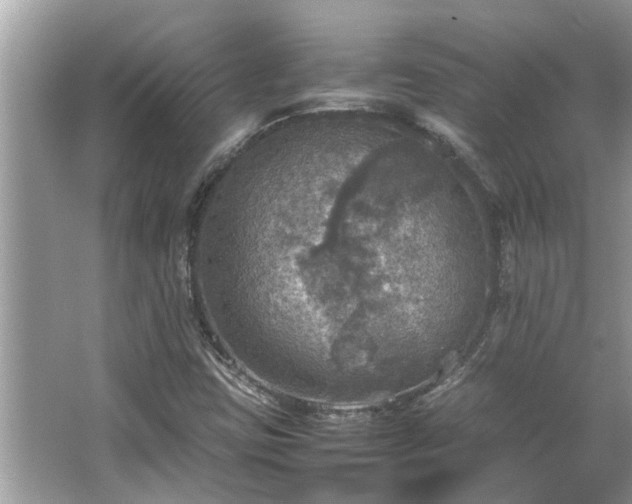 X0000063461403200601231406