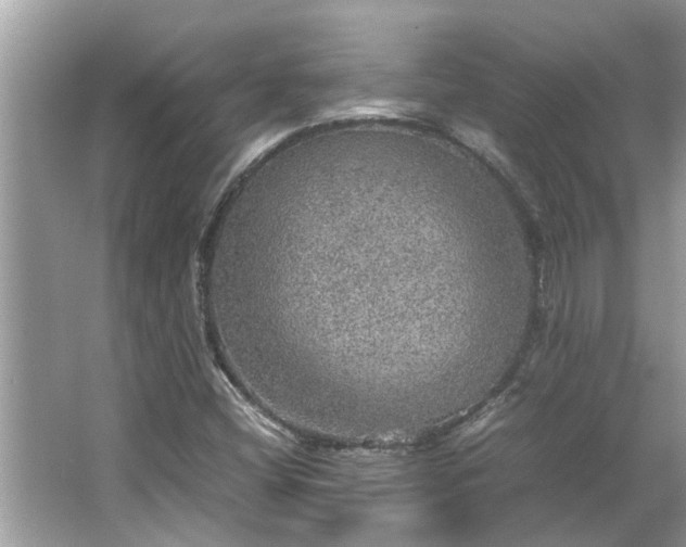 X0000063461404200601231406