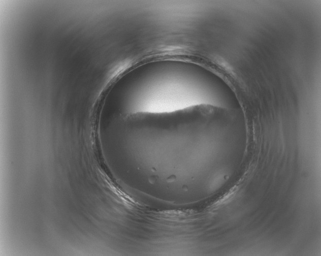 X0000063461405200601231406