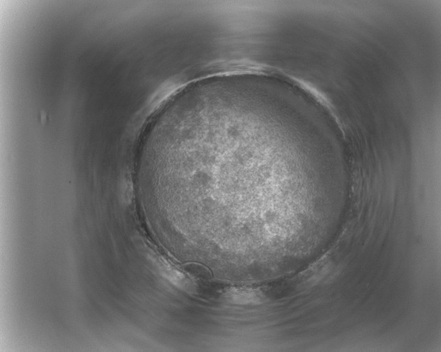 X0000063461407200601231406