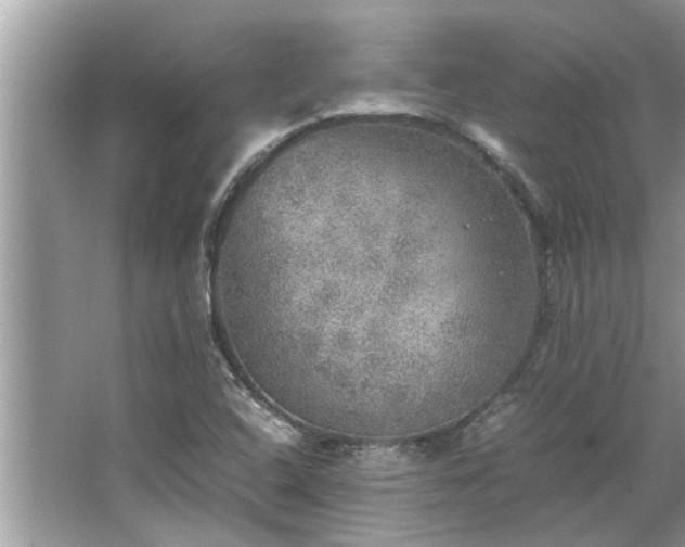 X0000063461408200601231406